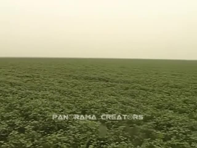 ⁣হেমন্তে হাকালুকি হাওরের জীবন Panorama Documentary