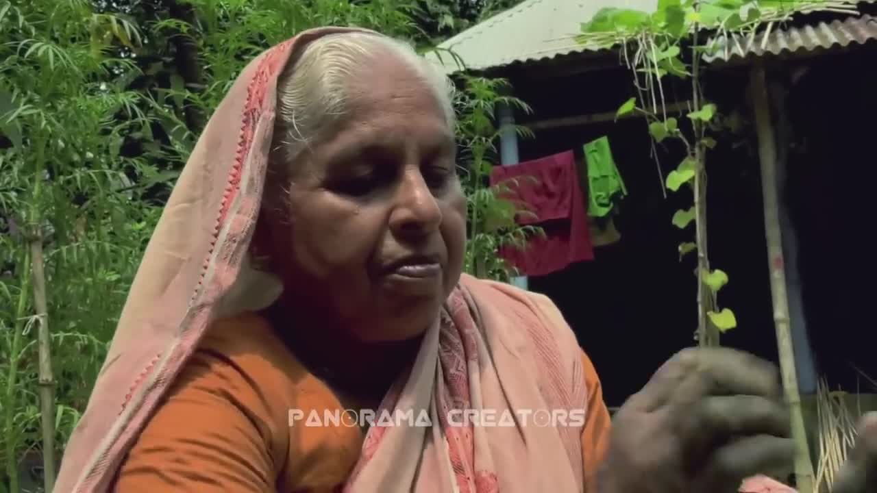 হারিয়ে যাচ্ছে বাংলার মৃৎশিল্প রাজবাড়ি Panorama Documentary