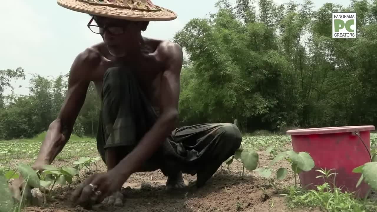 হাওর পাড়ের স্নিগ্ধ রাজপাড়া গ্রাম শ্রীমঙ্গলে Sreemangal Panorama Documentary