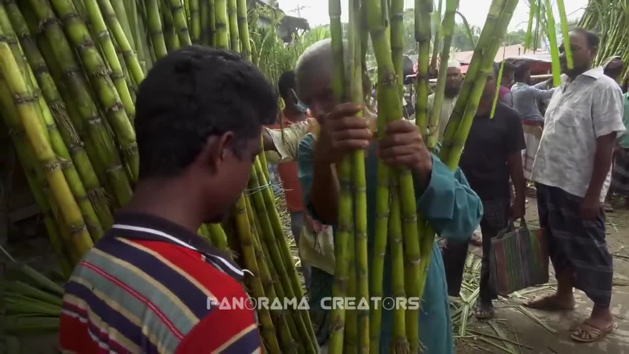 ⁣সোনাপুর হাটে রসে ভরা মিষ্টি আখ (২০২১) । রাজবাড়ি । Sugarcane Market at Rajbari (2021)। Bangladesh