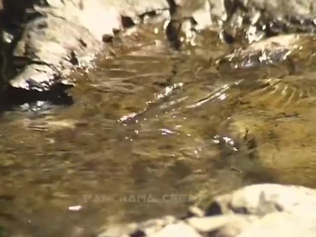 সীতাকুন্ডের সুপ্তধারা ঝরণা SUPTADHARA WATERFALL AT SITAKUNDA IN BANGLADESH