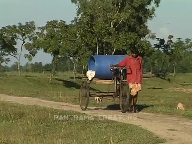 সমতলের চা বাগান, পঞ্চগড় TRAVEL TEA GARDEN AT PANCHAGARH IN BANGLADESH