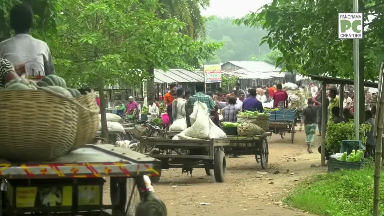 ⁣সবজি নিয়ে হুলস্থুল কান্ড যশোরের ভাটার বাজারে Panorama Documentary