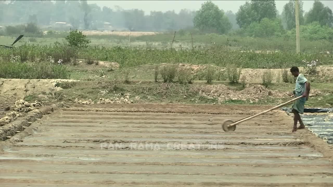 লবণ ক্ষেতের লবণ How to Make Salt in Bangladesh