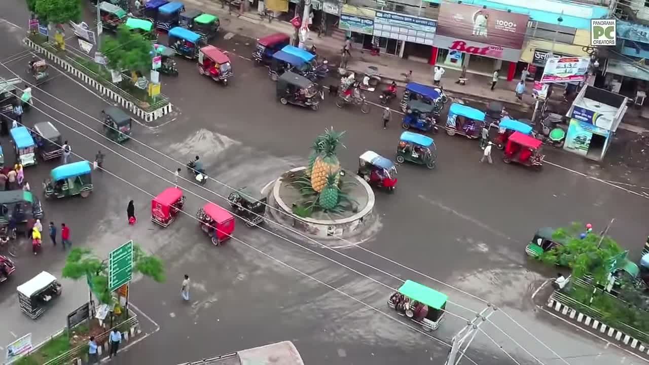 ⁣মধুপুরের বিখ্যাত রসালো আনারস Panorama Documentary