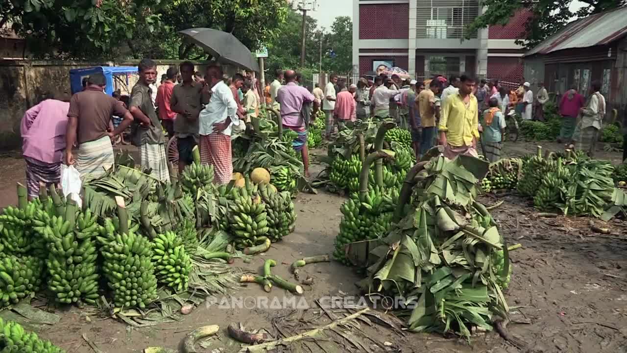 ⁣বেলাবো কলার হাট