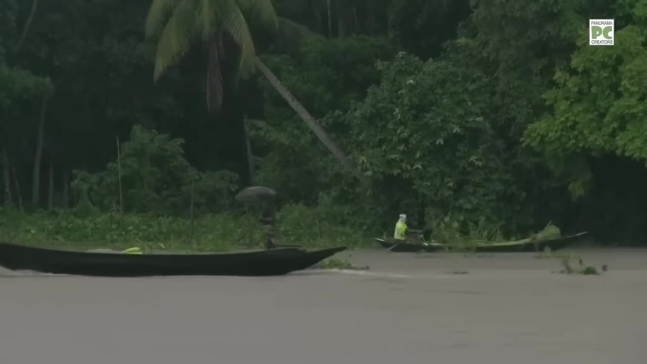 ⁣বৃষ্টিতে লড়াকু মানুষের জীবন যুদ্ধ বিশারকান্দি ভাসমান বাজারে Panorama Documentary