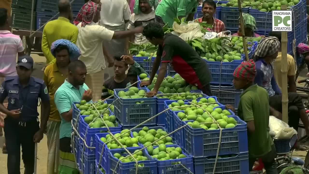 ⁣বিশাল আমের হাট রাজশাহীর বানেশ্বরে Panorama Documentary