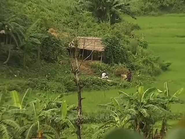 ⁣বান্দরবানের খেয়াং জীবন TRAVEL 'GUNGURU KHIANG' TRIBAL VILLAGE AT BANDARBAN