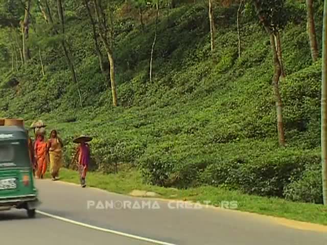 ⁣বাংলাদেশের প্রথম চা বাগান সিলেটের মালনীছড়া (২০০৬)