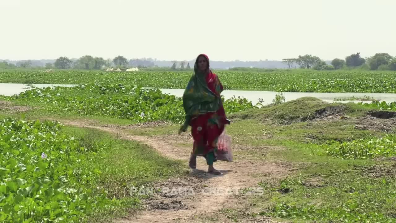 ⁣বর্ষায় বিলের পাড়ে গ্রামীন জীবন Panorama Documentary