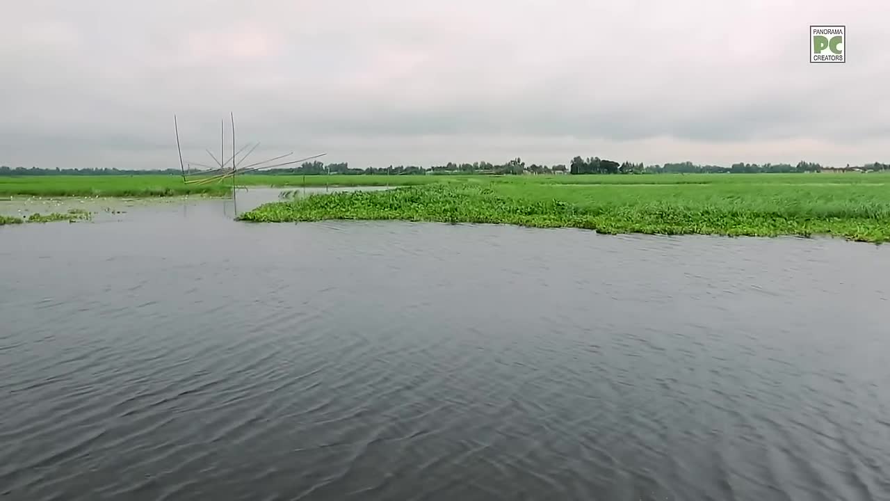 ⁣বর্ষায় পাবনার গাজনার বিল ও বিল পাড়ের গ্রামীণ জীবন Panorama Documentary