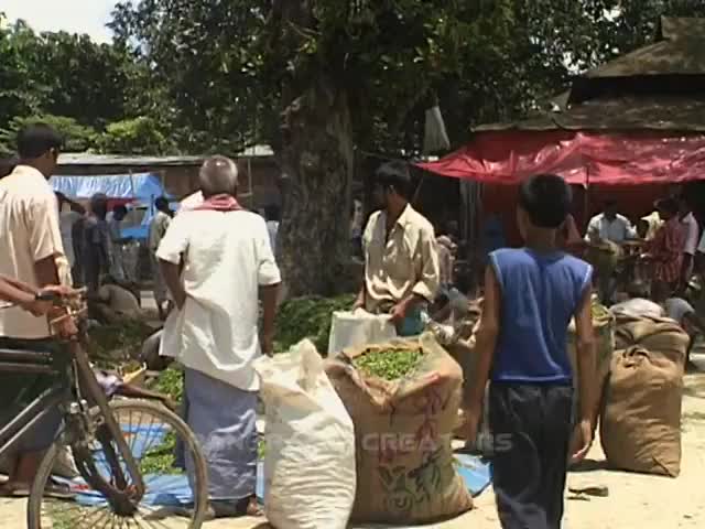 ⁣বদরগঞ্জ হাট, রংপুর TRAVEL BADARGANJ MARKET AT RANGPUR IN BANGLADESH