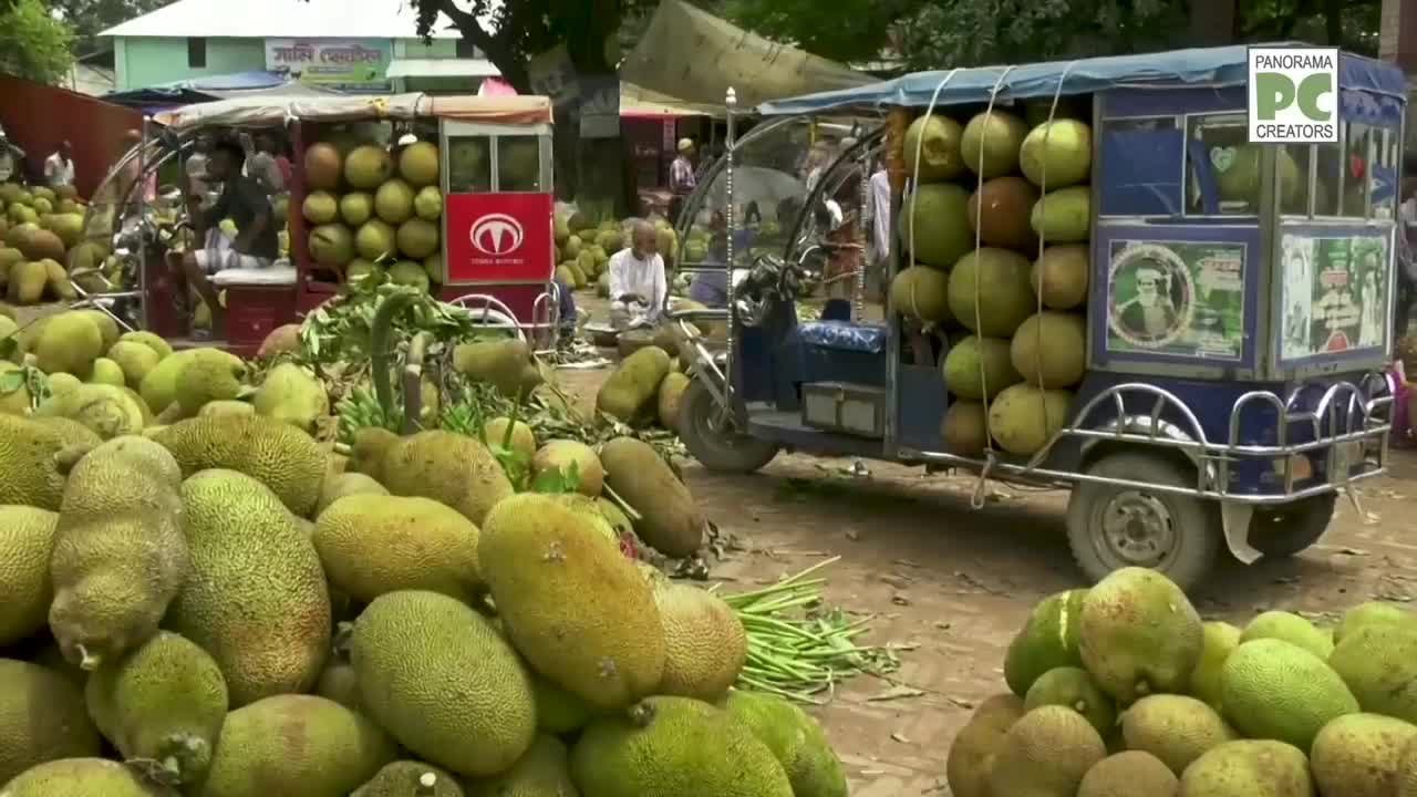 ⁣বড় বড় কাঁঠালে সয়লাব বেলাবোর পোড়াদিয়া বাজারে Narsingdi Panorama Documentary