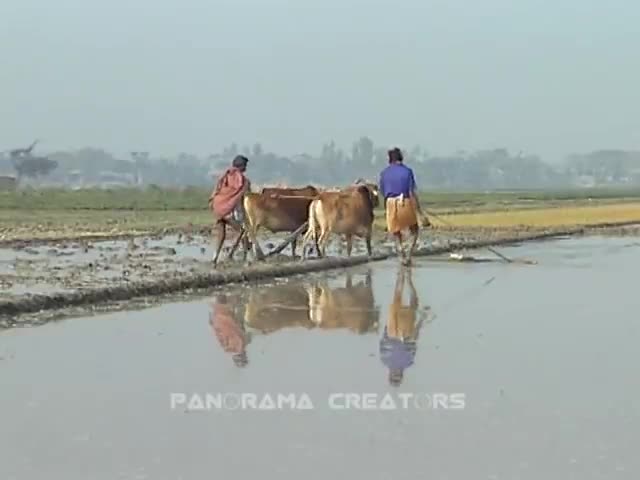 ⁣বগুড়ার সারিয়াকান্দি জনপদ (2005)