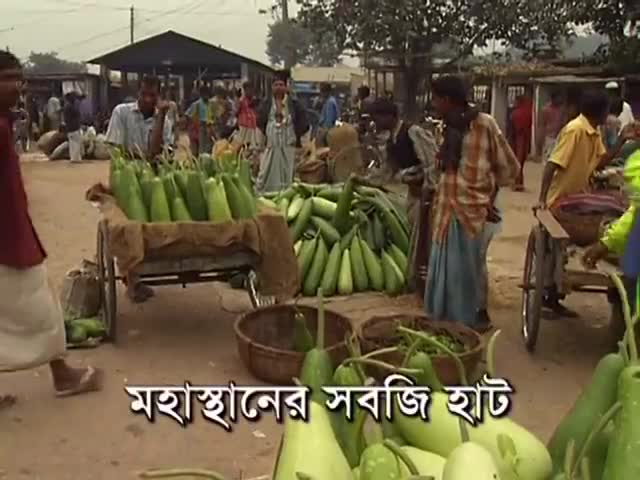 ⁣বগুড়ার সবজি হাট FAMOUS VEGETABLE MARKET AT BOGRA