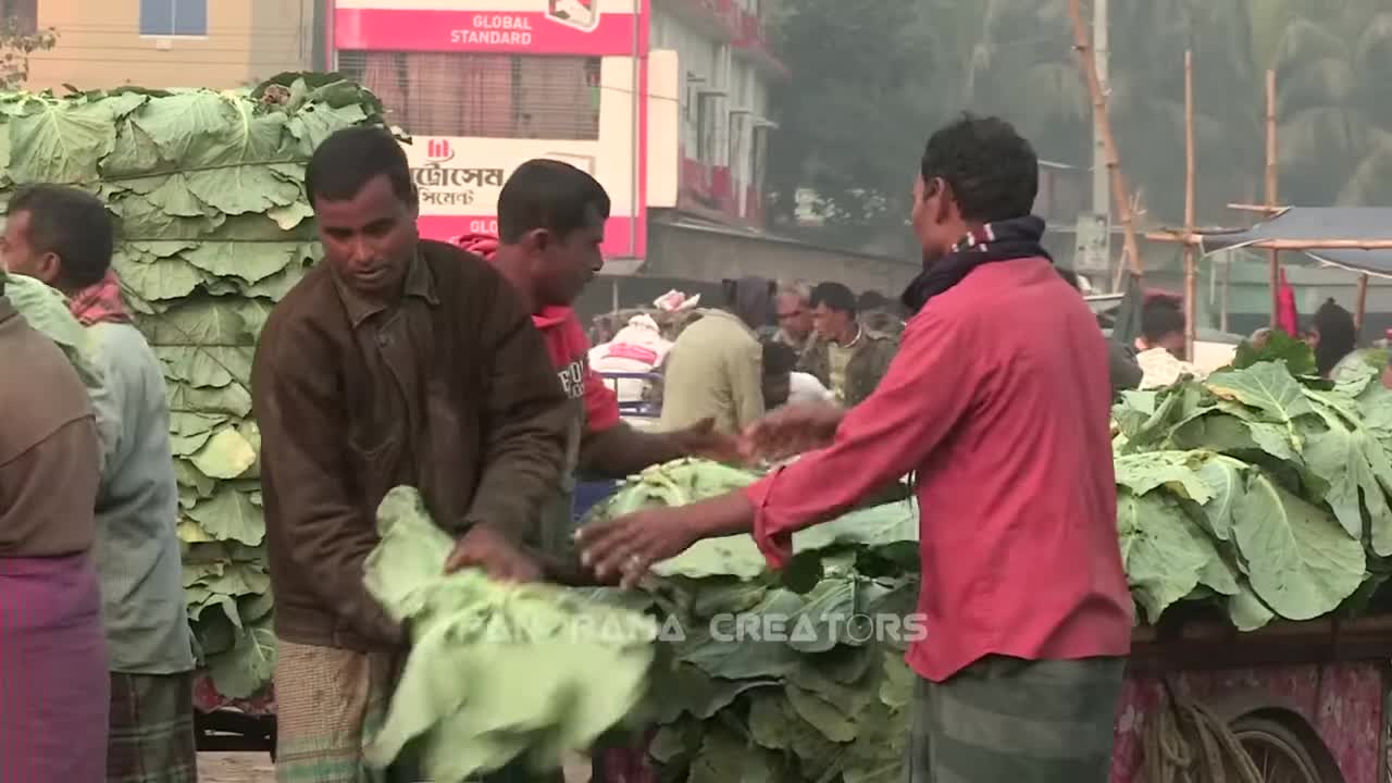 ⁣বগুড়ার মহাস্থানে বিখ্যাত সবজির হাট Famous Vegetable Market in Bangladesh