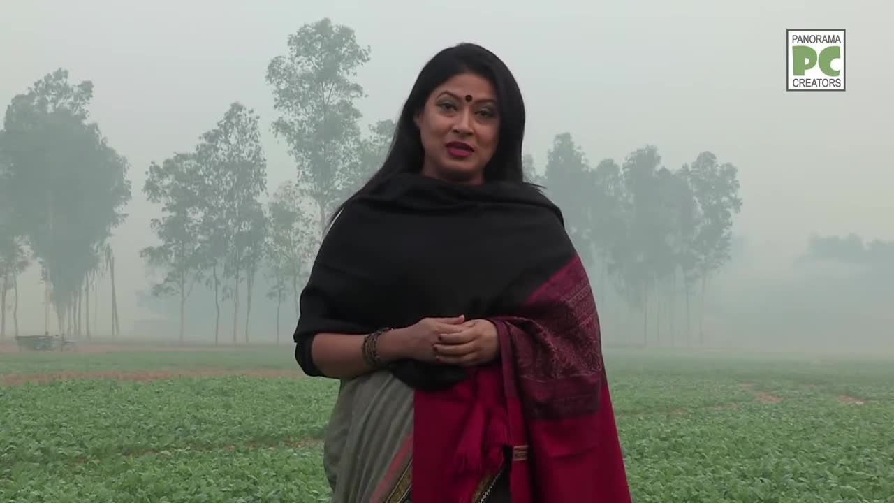 ⁣বগুড়ার কোমারপুরের শীত সকাল Panorama Documentary