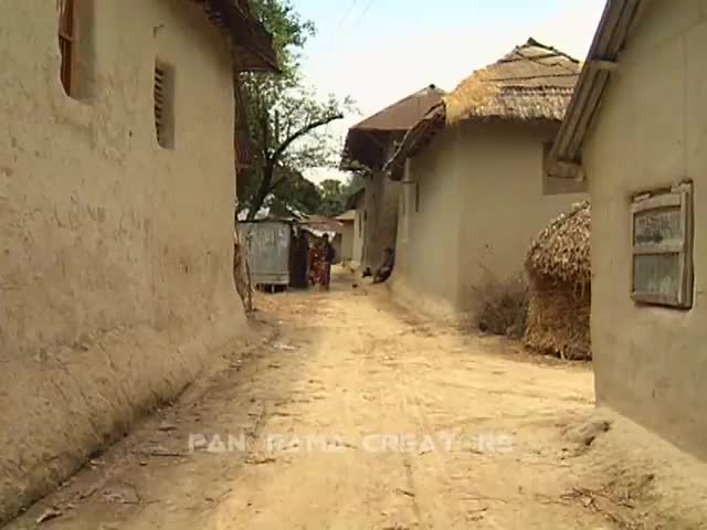 ⁣বগুড়ায় কাহালুর গ্রামীণ জনপদ