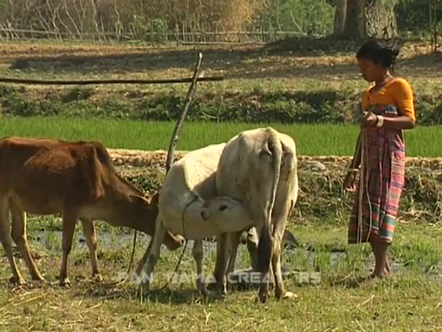 ⁣পরিশ্রমী কোচ নারী (২০০৪)