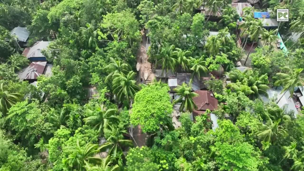 ⁣নৌকা বানিয়ে জীবন চলে পিরোজপুরের গ্রামে গ্রামে Pirojpur Panorama Documentary