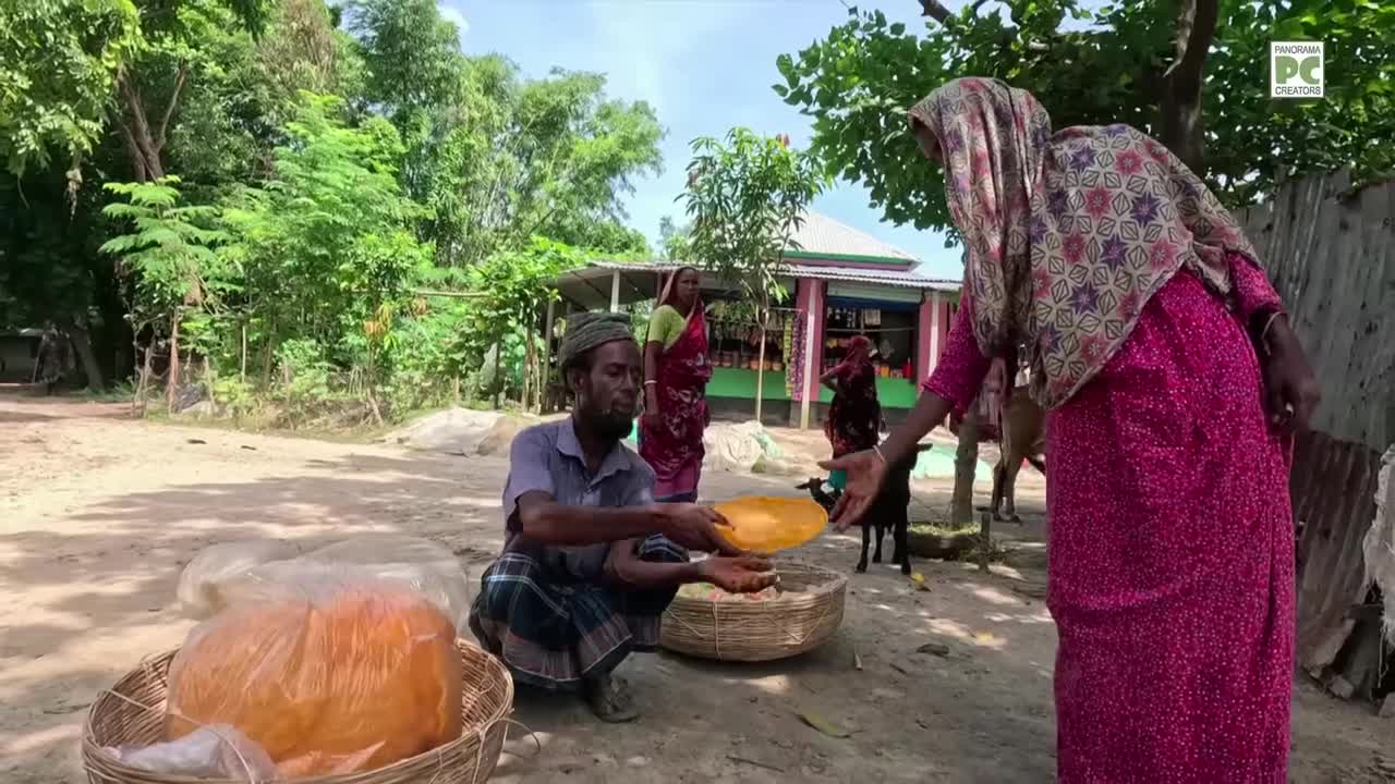 ⁣নওপা গ্রামের সাঁওতাল জীবন Panorama Documentary