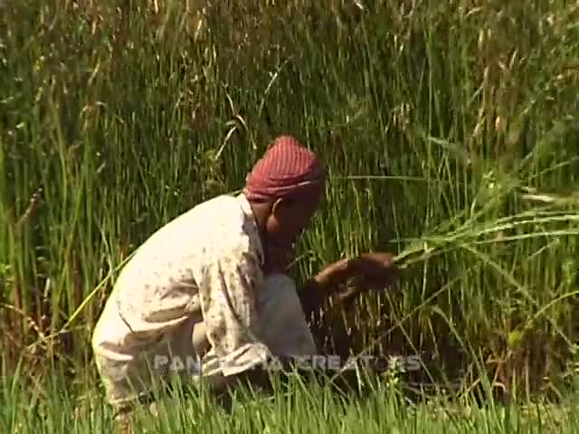 ⁣নওগাঁর রাণীনগর জনপদ (2004)