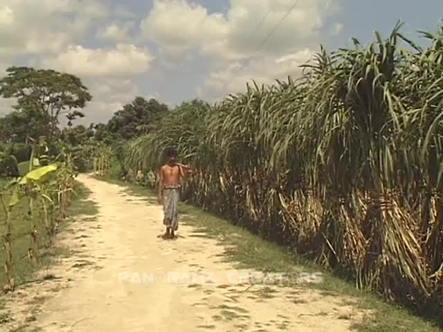 ⁣নওগাঁর বদলগাছি জনপদ (2004)