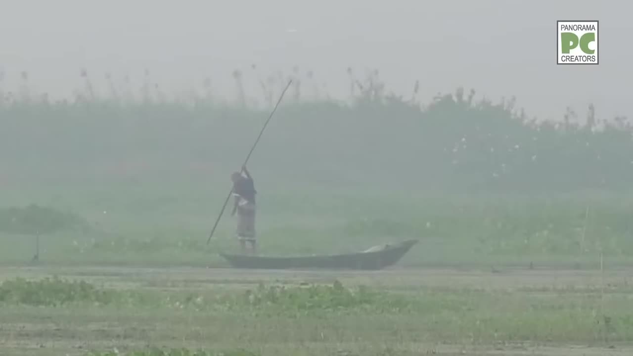 ⁣জীবন জীবিকার যোগানদার পাবনার গাজনার বিল Source of Livelihood Gajnaar Beel