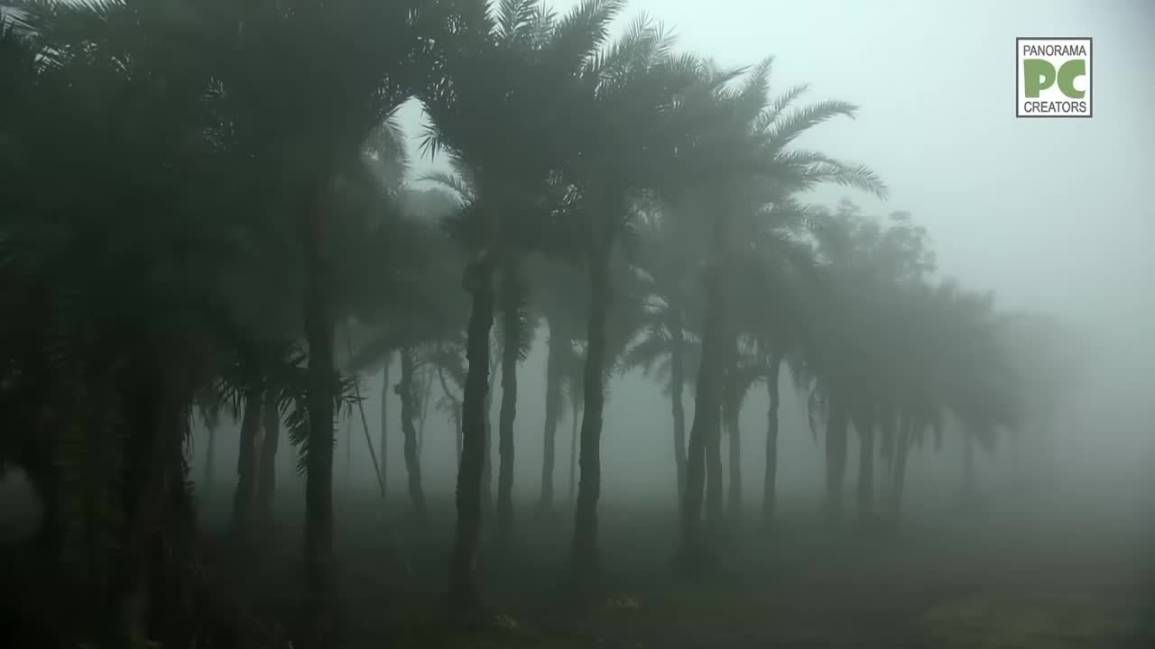 ⁣চুয়াডাঙ্গার বিখ্যাত কলস গুড় Panorama Documentary