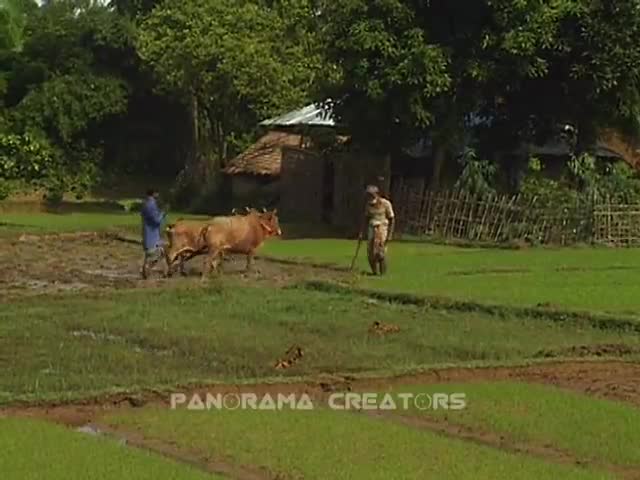 ⁣চট্টগ্রামের লোহাগাড়া জনপদ (২০০৬)