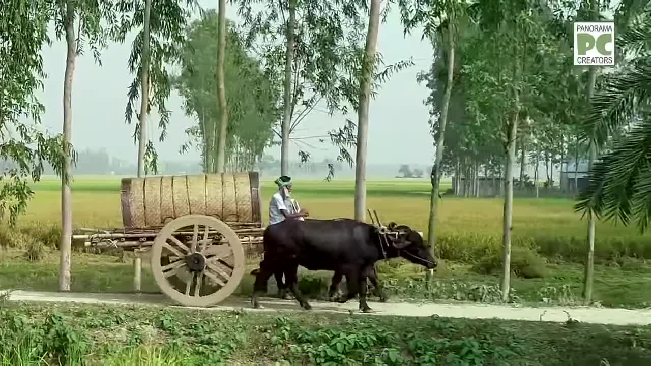 ⁣গ্রামবাংলার মাটির ঘর Eco Friendly Clay House in Villages of Bangladesh