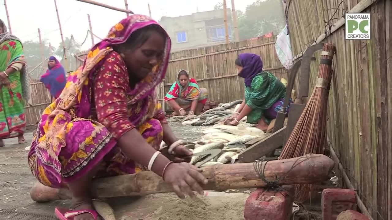 ⁣কুলিয়ারচরের মাছ কুটুনির দল Panorama Documentary