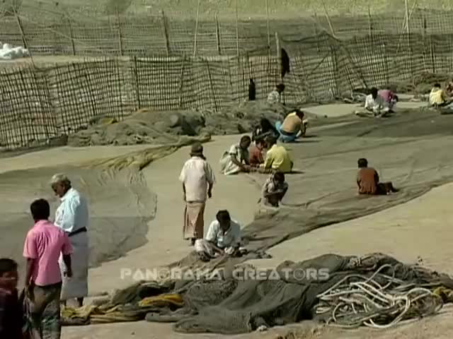 ⁣কুতুবদিয়া দ্বীপের শুঁটকি পল্লী Dry Fish Yard in kutubdia Island