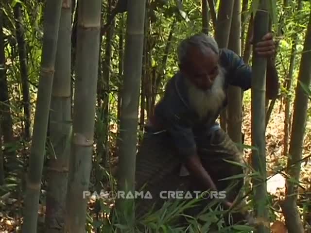 ⁣কিভাবে বাঁশ থেকে বাঁশ পণ্য তৈরি করা হয় (২০০৭)