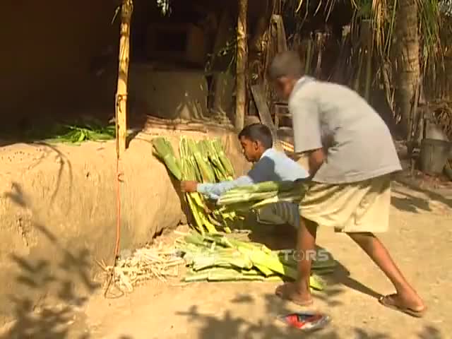 ⁣কিভাবে তালপাখা বানানো হয় । How to Make Traditional Hand Fan। Bangladesh