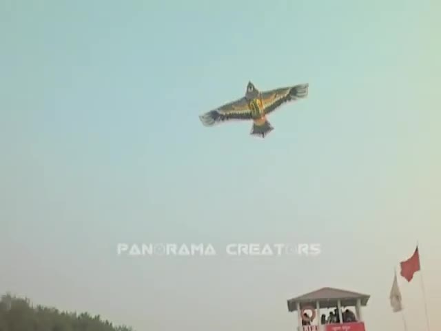 ⁣কক্সবাজার সৈকতে জমজমাট ঘুড়ি উৎসব The Biggest Kite Festival in Cox's Bazar Sea Beach