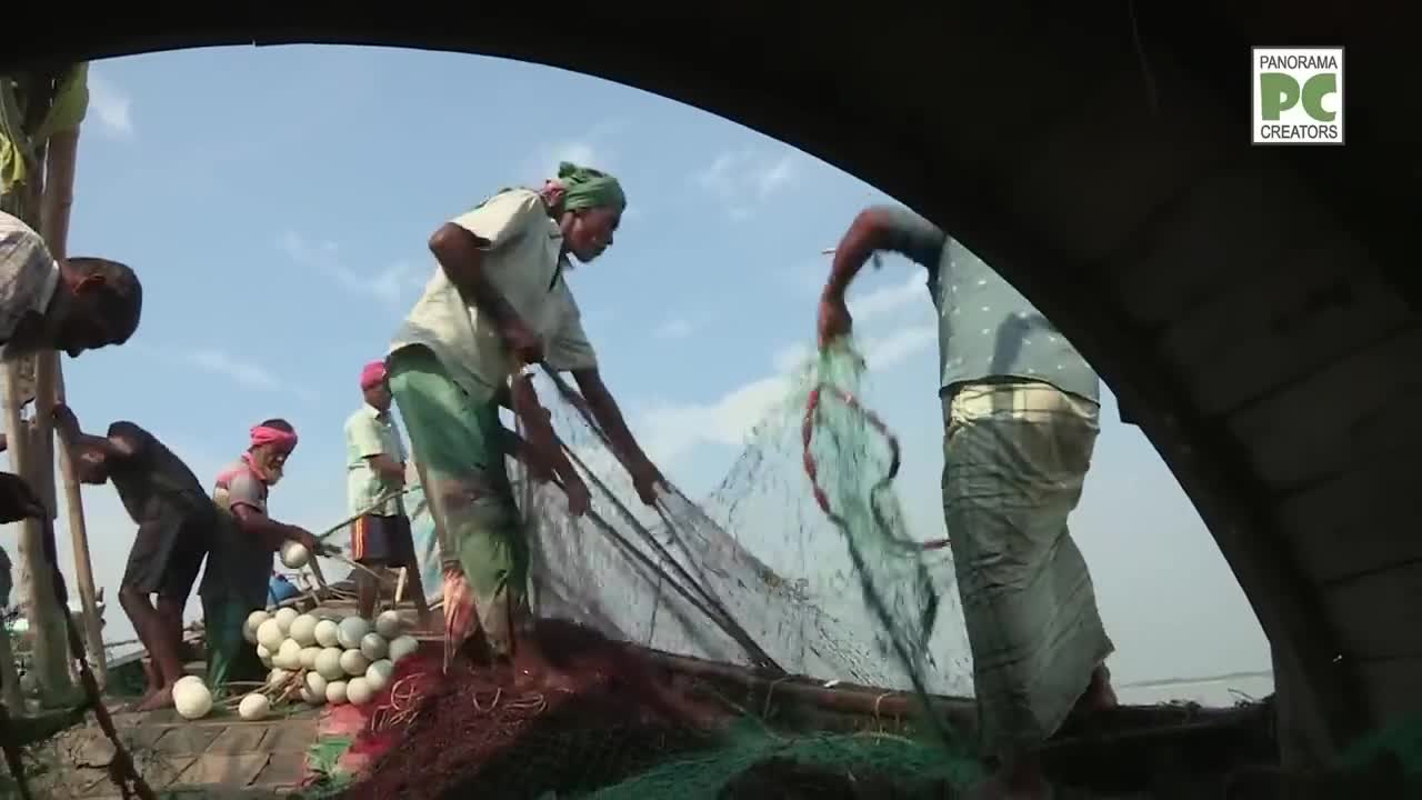 ⁣ইলিশে ভরা চাঁদপুর Panorama Documentary