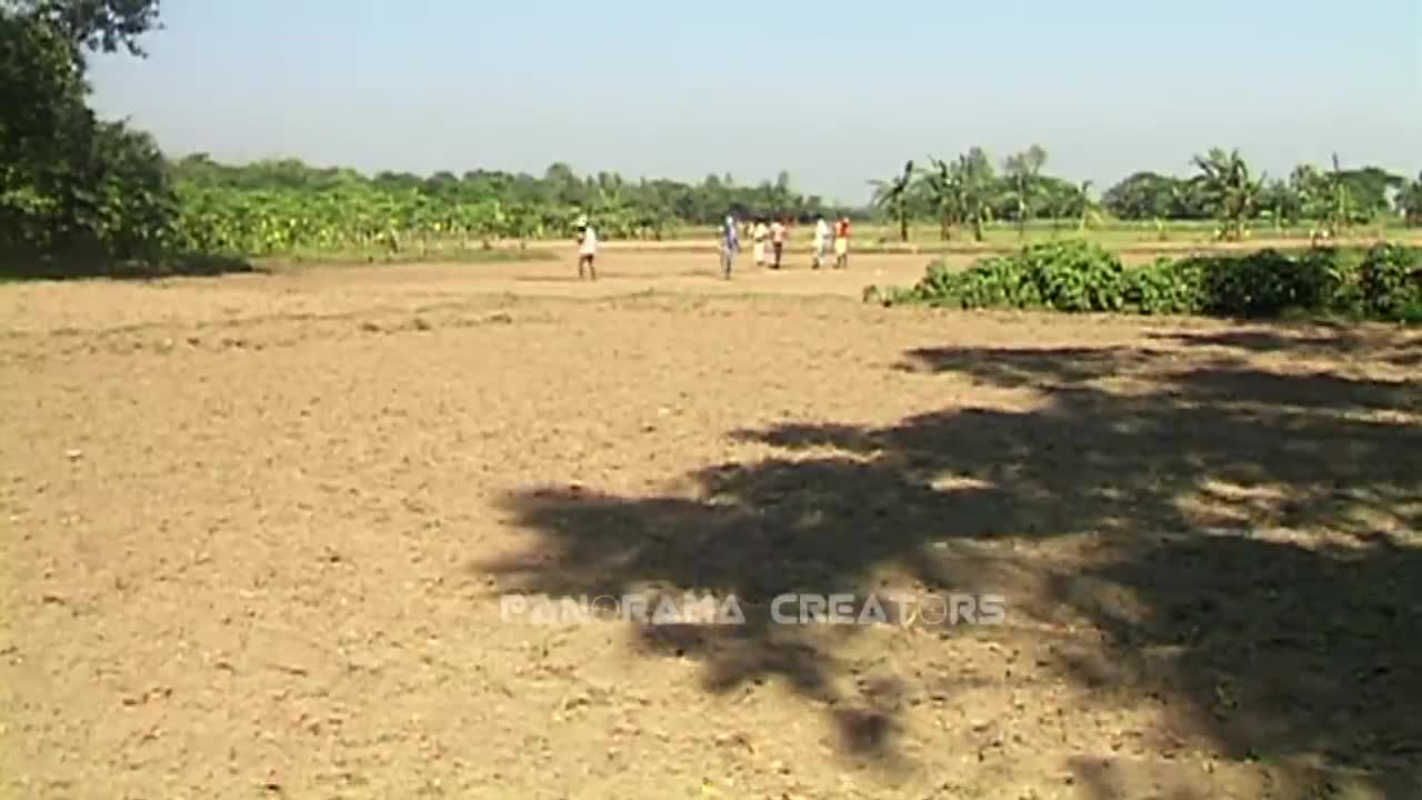 ⁣আলু চাষ Potato Cultivation in Bangladesh