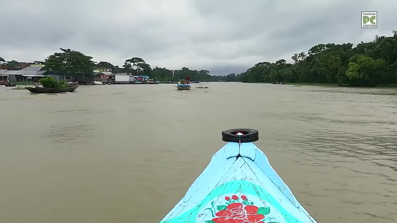 ⁣আন্তর্জাতিক স্বীকৃতিপ্রাপ্ত বরিশালের ধাপভিত্তিক ভাসমান চাষ পদ্ধতি Panorama Documentary