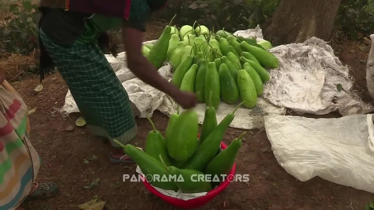 ⁣আড়িয়াল খাঁ নদের পাড়ে জংলী শিবপুর বাজার