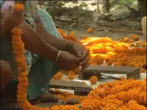 ⁣SPRING FESTIVAL CELEBRATION IN BANGLADESH │ বাংলার বসন্ত বরণ উৎসব